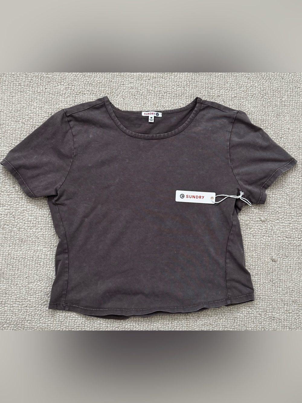 NWT Sundry Washed Purple Cropped Tee